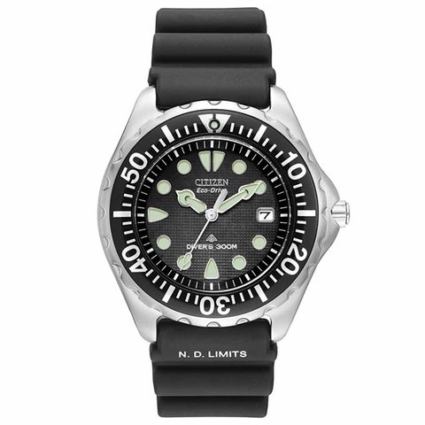 Professional Diver Eco-Drive Men's Watch BN0000-04H