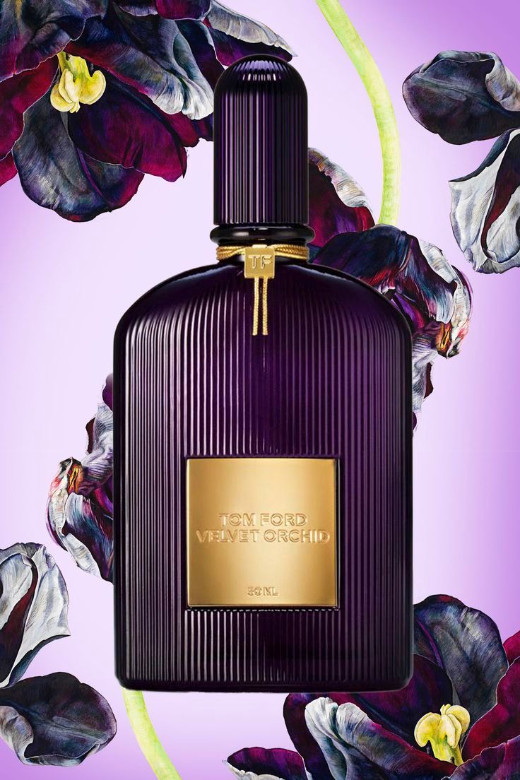 Mua nước hoa Velvet Orchid Lumiere chính hãng ở TPHCM – Thiên Đường Hàng  Hiệu