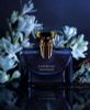 Bvlgari Splendida Tubercuse Mystique