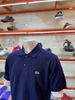 Áo Polo Xanh Navy Cá nhỏ Lacoste - New - L122151166