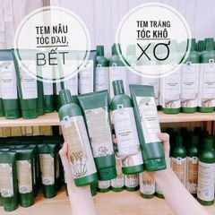 (11/2026) (TEM NÂU) Gội xả gừng WEILAIYA 400ML - HÀ THỦ Ô (tặng set mini)