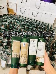 (11/2026) (TEM NÂU) Gội xả gừng WEILAIYA 400ML - HÀ THỦ Ô (tặng set mini)