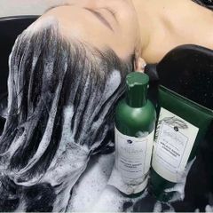 (11/2026) (TEM NÂU) Gội xả gừng WEILAIYA 400ML - HÀ THỦ Ô (tặng set mini)