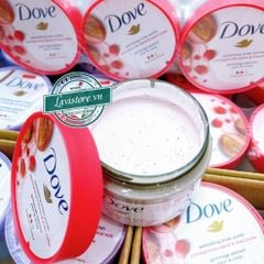 (08/2026) (Bản Mỹ) TDC Dove macca 298g