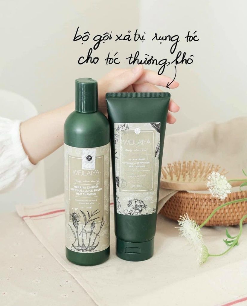 (11/2026) (TEM NÂU) Gội xả gừng WEILAIYA 400ML - HÀ THỦ Ô (tặng set mini)