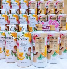 (02/2026) Dầu gội xả PANTENE Essential Botanicals (1.13ml x 2)