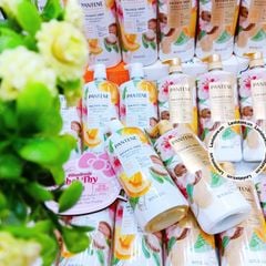 (02/2026) Dầu gội xả PANTENE Essential Botanicals (1.13ml x 2)