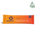  TAILWIND ENDURANCE 