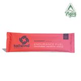  TAILWIND ENDURANCE 