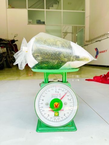 Rong Nho Tươi | 500G