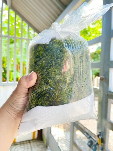 Rong Nho Tươi | 500G