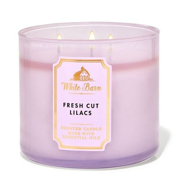 Nến Thơm Bath Body Works Aromatherapy Scented Candle 411g