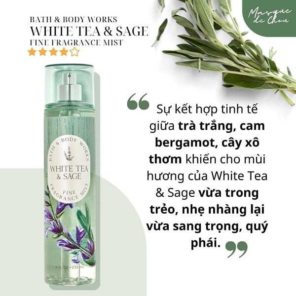 Xịt thơm Bath & Body Works Fine Fragrance Mist 236ml