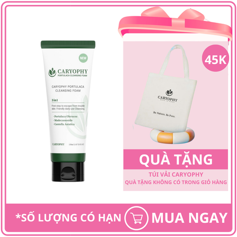 Sữa Rửa Mặt Ngăn Ngừa Mụn Giảm Thâm Caryophy Portulaca Cleansing Foam 150ml