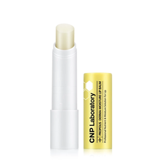 Son Dưỡng Môi CNP Laboratory Propolis Derma Moisture Lip Balm 4g