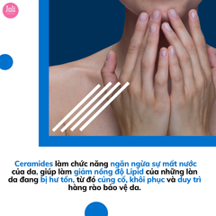 Kem Dưỡng Ẩm Dành Cho Da Khô Cerave Developed With Dermatologists Moisturising Cream