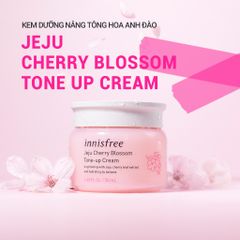 Kem Dưỡng Trắng Da Nâng Tone Innisfree Jeju Cherry Blossom Tone Up 50ml