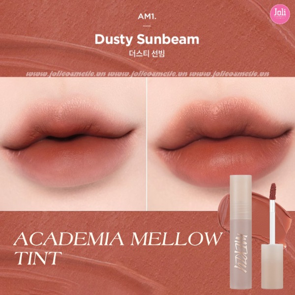 Son Kem Lì Merzy Academia Mellow Tint 4g