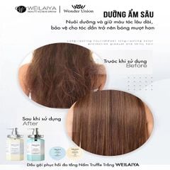 Dầu Gội & Xả Phục Hồi Đa Tầng Nấm Truffle Weilaiya 450ml