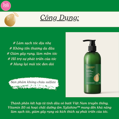 Dầu Gội Bưởi Giảm Gãy Rụng & Kích Thích Mọc Tóc Cocoon Pomelo Shampoo 310ml