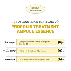 Set Nước Thần Keo Ong Phục Hồi Da CNP Laboratory Treatment Ampoule Essence (100ml + 150ml)