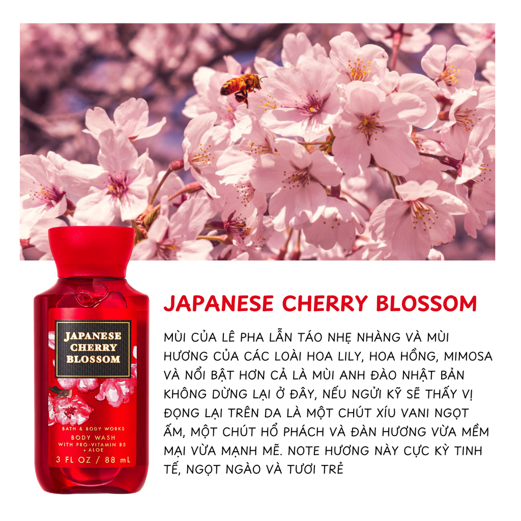 Sữa Tắm Bath & Body Works Body Wash 88ml