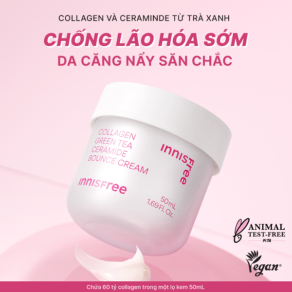 Bộ Sản Phẩm Chống Lão Hóa 3 Món innisfree (Kem Dưỡng Collagen 50ml Serum Vitamin C 7ml Kem Dưỡng Collagen 10ml)