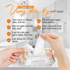 Khăn Ướt Vệ Sinh Vùng Kín Hằng Ngày Femfresh Intimate Skin Care Daily Wipes 25 Tờ