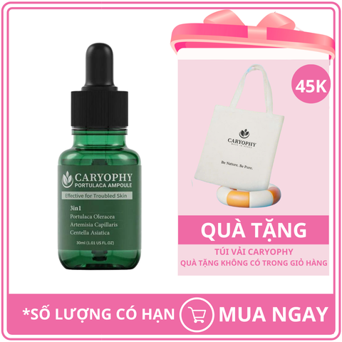 Tinh Chất Hỗ Trợ Giảm Mụn Thâm Mụn Caryophy Portulaca Ampoule 30ml