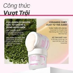 Kem Dưỡng Chống Lão Hóa innisfree Collagen Green Tea Ceramide Bounce Cream 50ml