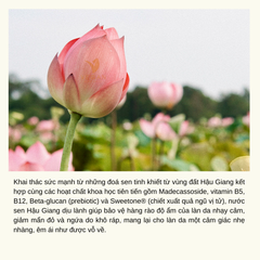 Nước Cân Bằng Làm Dịu Da Nhạy Cảm Sen Hậu Giang Lotus Soothing Toner