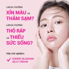 Kem Dưỡng Ẩm & Trắng Da Innisfree Jeju Cherry Blossom Jelly Cream 50ml