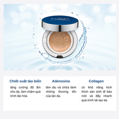 Set Phấn Nước Dưỡng Ẩm Klavuu Blue Pearlsation High Coverage Marine Collagen Aqua Cushion SPF50 PA+++(Tặng kèm lõi)