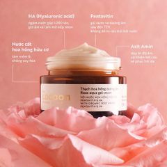Kem Dưỡng Ẩm Dạng Thạch Hoa Hồng CoCoon Rose Aqua Cream