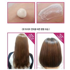 Kem Ủ Phục Hồi Tóc Secret Key So Fast Mu-Coating Silk Protein Treatment 480g