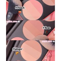 Phấn Má Hồng Too Cool For School Artclass By Rodin Blusher