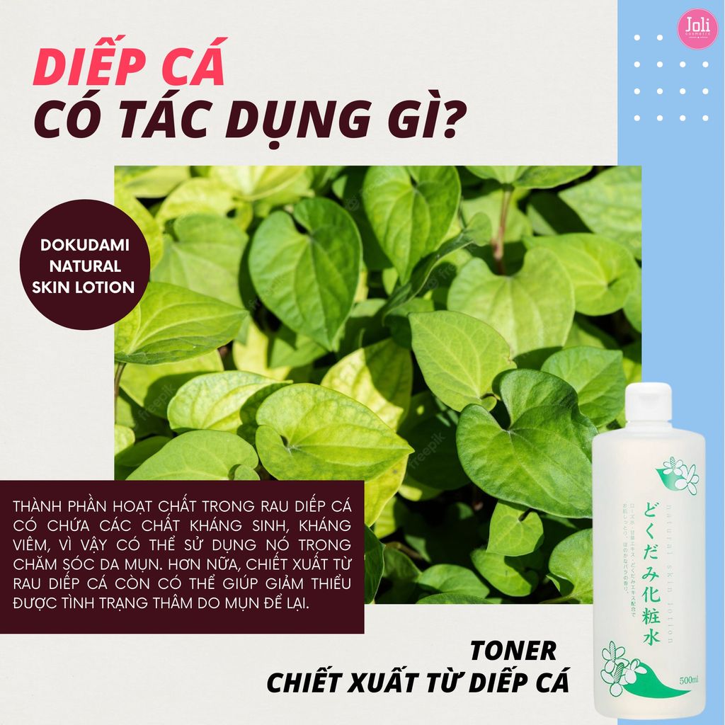 Nước Hoa Hồng Chiết Xuất Từ Lá Diếp Cá Dokudami Natural Skin Lotion 500ml