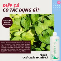 Nước Hoa Hồng Chiết Xuất Từ Lá Diếp Cá Dokudami Natural Skin Lotion 500ml