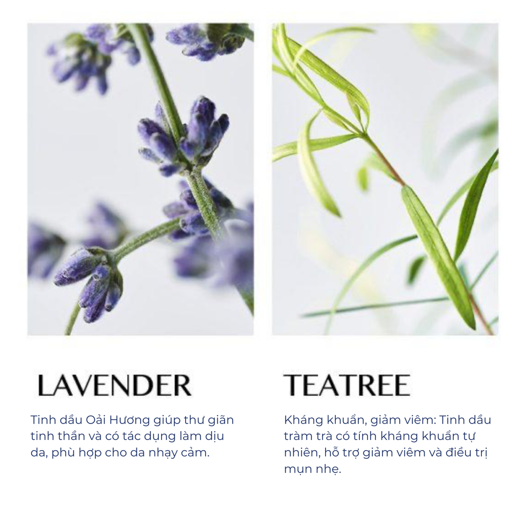 Sữa Tắm Happy Bath Flower Therapy Body Wash Lavender & Tea Tree 760g