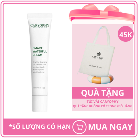 Kem Dưỡng Ẩm Phục Hồi Da & Ngừa Mụn Caryophy Smart Waterful Cream 40ml