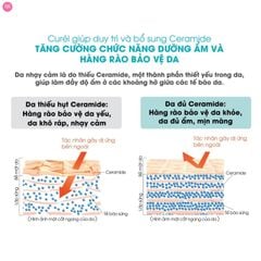 Kem Chống Nắng Curel Protection Face Cream SPF 30 PA+++ 30g