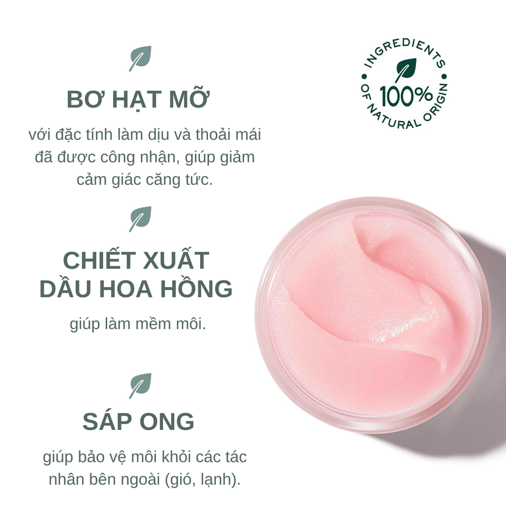 Sáp Dưỡng Môi Nuxe Very Rose Lip Balm 15g