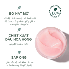 Sáp Dưỡng Môi Nuxe Very Rose Lip Balm 15g