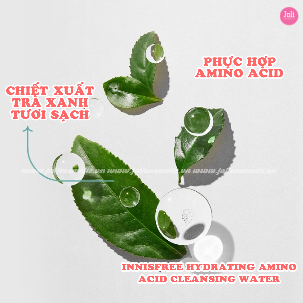 Nước Tẩy Trang Innisfree Green Tea Hydrating Amino Acid Cleansing Water 300ml