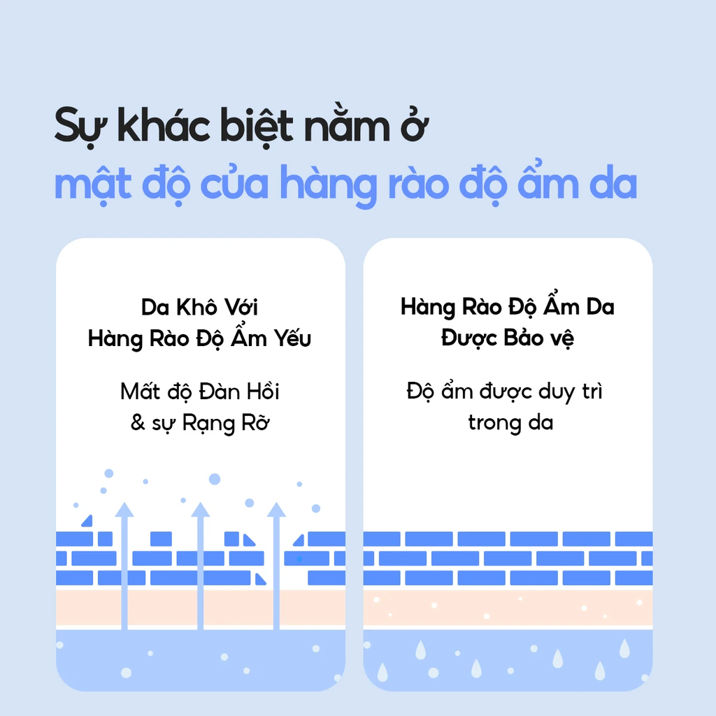 Kem Dưỡng Ẩm Làm Dịu Phục Hồi Cho Da Khô Laneige Water Bank Blue Hyaluronic Moisture Cream 10ml