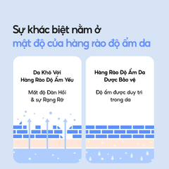 Kem Dưỡng Ẩm Làm Dịu Phục Hồi Cho Da Khô Laneige Water Bank Blue Hyaluronic Moisture Cream 10ml