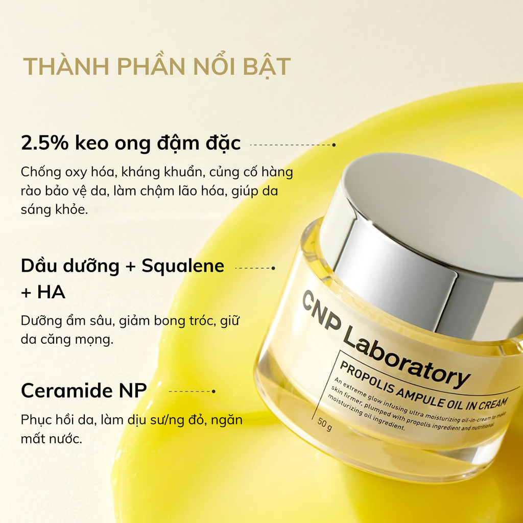 Kem Dưỡng Ẩm Chiết Xuất Keo Ong Dạng Dầu CNP Propolis Ampule Oil In Cream 50g