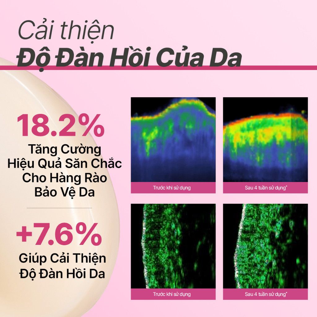 Kem Dưỡng Chống Lão Hóa innisfree Collagen Green Tea Ceramide Bounce Cream 50ml
