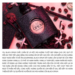 Nước Hoa Nữ Yves Saint Laurent Black Opium EDP