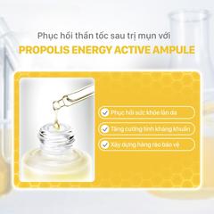 Tinh Chất Keo Ong Tái Tạo Phục Hồi Da CNP Laboratory Propolis Energy Active Ampule
